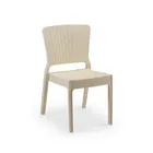 כסא דגם אנטרס בז' T