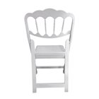 דגם נפוליון