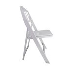 דגם נפוליון